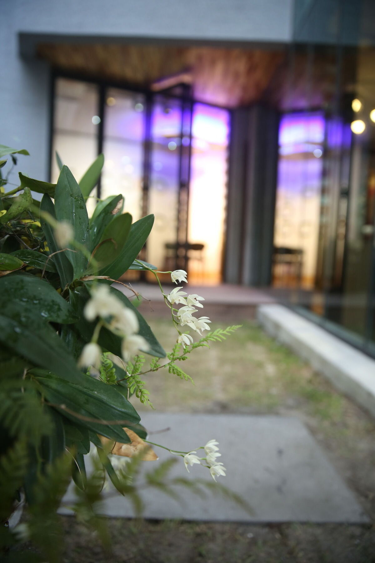 済州市 Sogondak Houseヴィラ エクステリア 写真